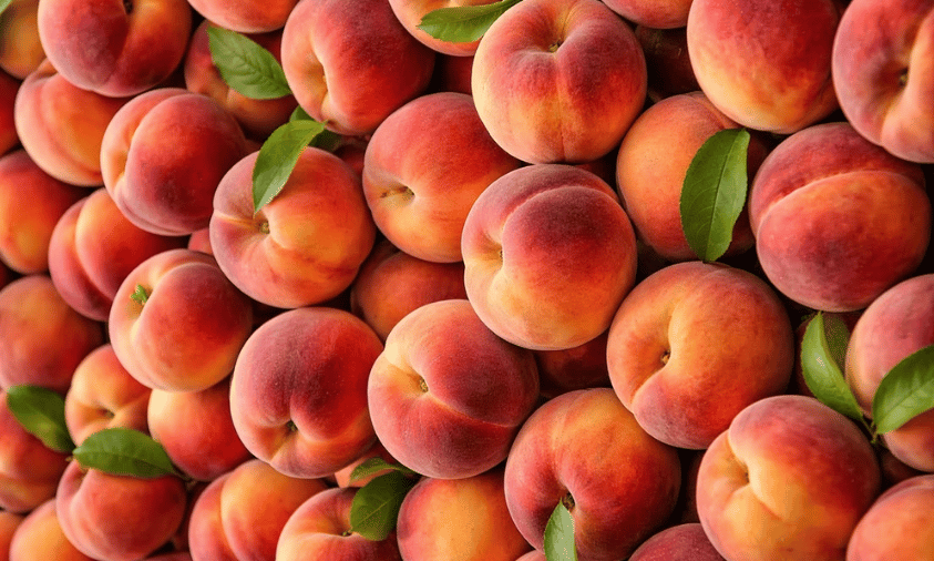 Peach Bikin Dessert Makin Segar, Ini 3 Kreasi yang Wajib Dicoba