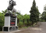 Sidomba Kuningan, Wisata Keluarga yang Sajikan Penangkaran Rusa dan Camping Seru.