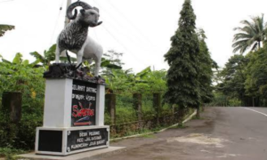 Sidomba Kuningan, Wisata Keluarga yang Sajikan Penangkaran Rusa dan Camping Seru.
