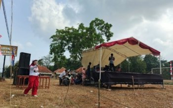 HUT ke-81