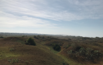 Bukit Teletubbies Ujung Genteng, Hidden Gem Sukabumi