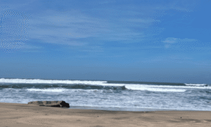 wisata pantai taman pandan