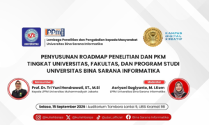 UBSI Gelar Pendampingan Penyusunan Roadmap Penelitian dan PkM Dosen