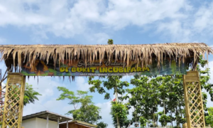 Bukit Incubi Farm, Wisata Alam dengan Nuansa Pedesaan