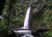 Curug Sawer, Pesona Air Terjun di Tengah Hutan Sukabumi