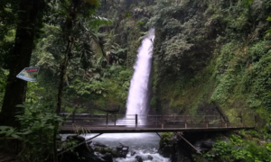 Curug Sawer, Pesona Air Terjun di Tengah Hutan Sukabumi