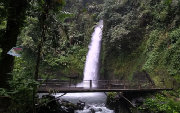 Curug Sawer, Pesona Air Terjun di Tengah Hutan Sukabumi