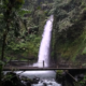 Curug Sawer, Pesona Air Terjun di Tengah Hutan Sukabumi