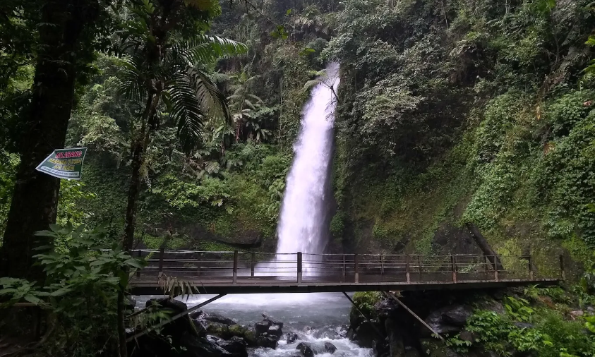 Curug Sawer, Pesona Air Terjun di Tengah Hutan Sukabumi